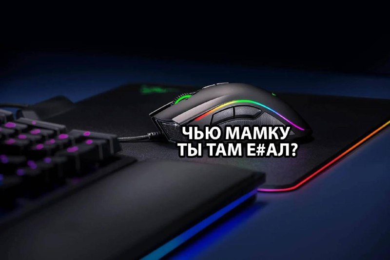 Игровые мыши могут стать микрофонами-шпионами — учёные из Калифорнийского университета бьют тревогу