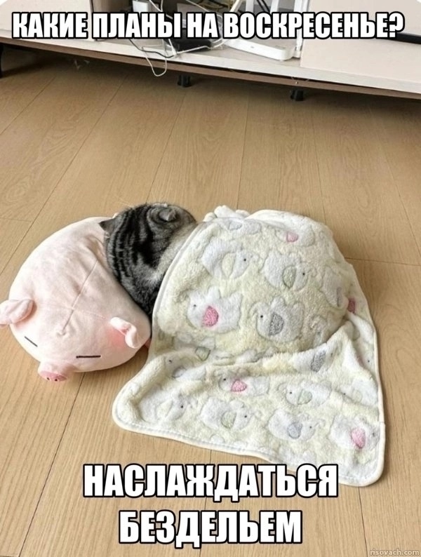 Кто чем занят? Как проводите воскресенье?
Делитесь фо?...