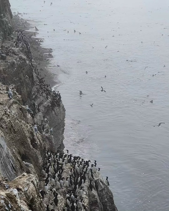 Остров Сахалин 🇷🇺