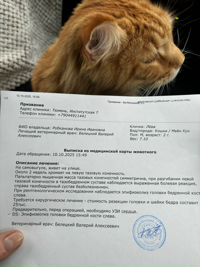 Уважаемые и неравнодушные подписчики ПвТ!
Обращаюсь ?...