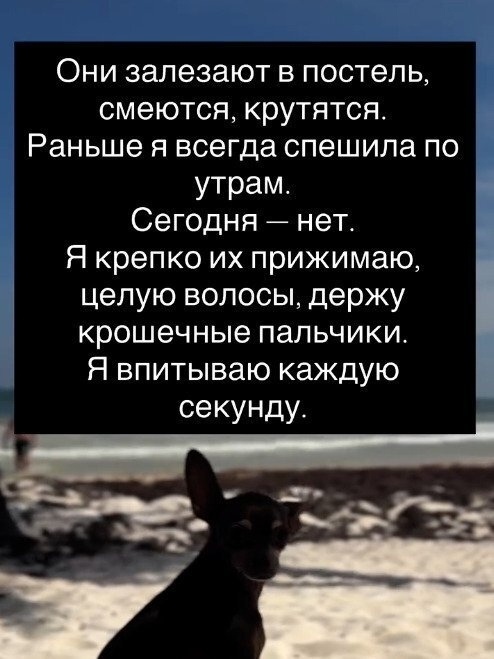 До слез довели...