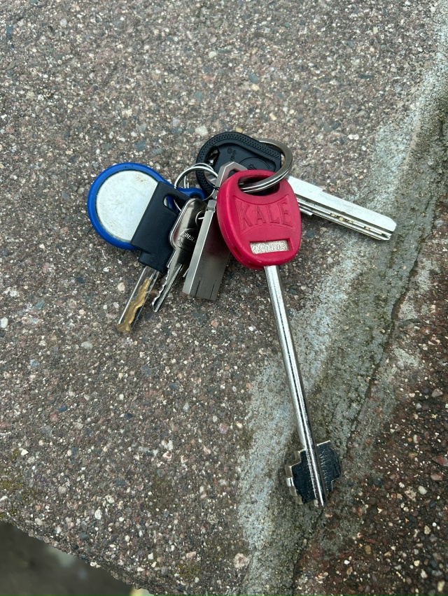 В третьей школе на первом этаже 5.11.2025г. были утеряны тё?...