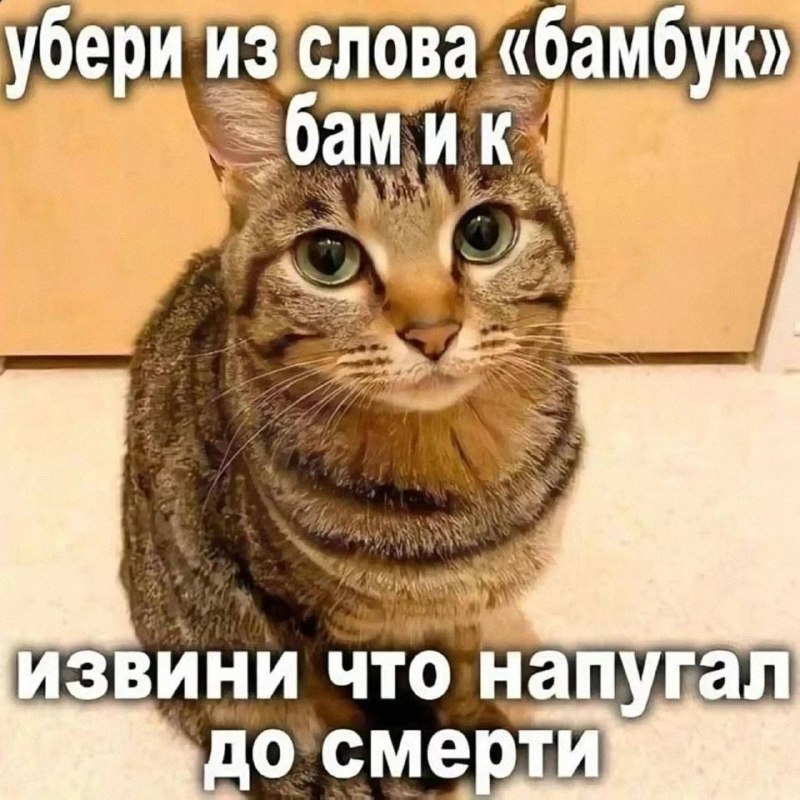 Утренняя подборочка