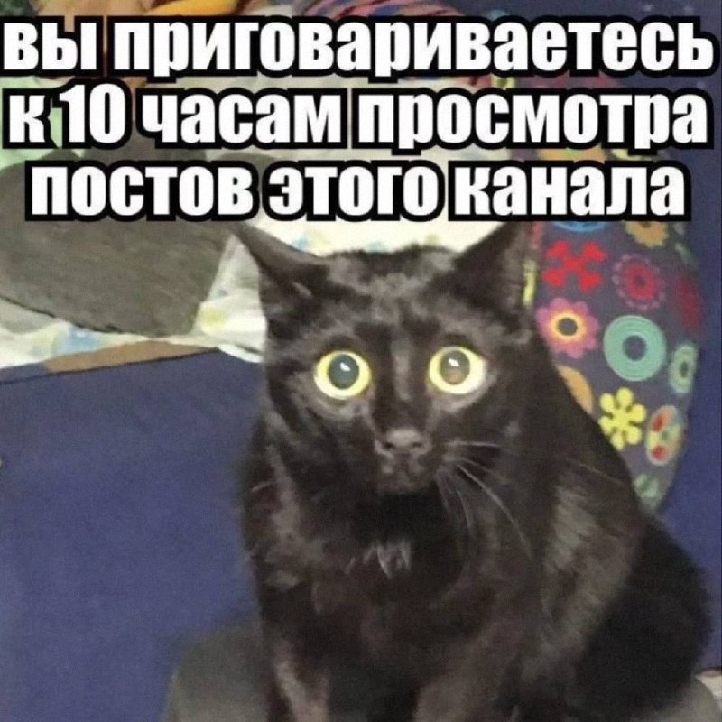 Утренняя подборочка