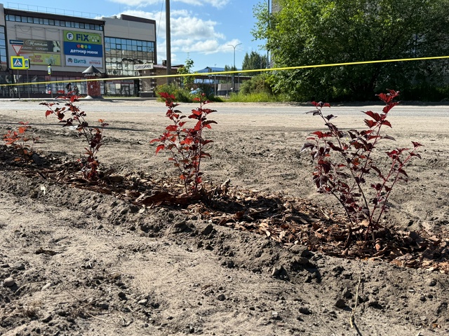Ежедневно в нашем любимом городе проводятся мероприят...
