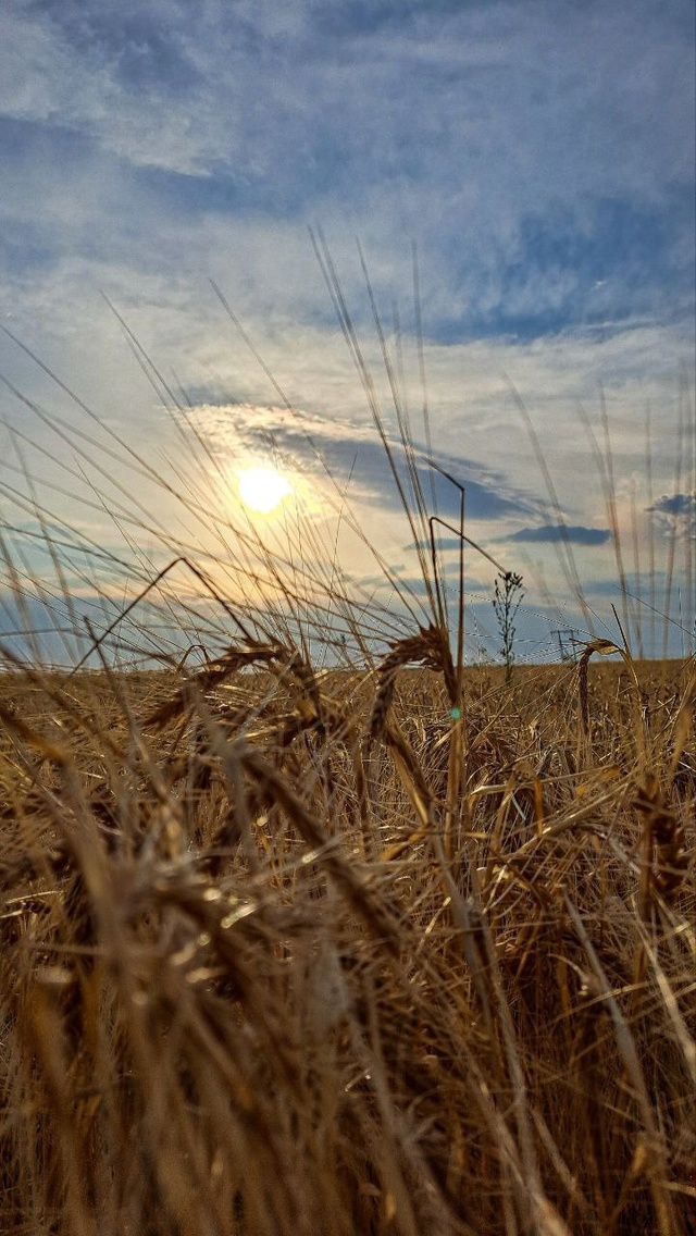 Доброе утро, Свердловск ☀️
Фото от подписчицы