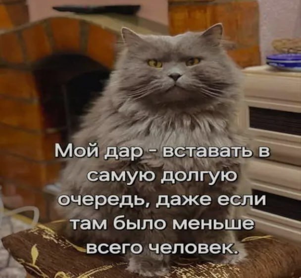 Ночная подборочка
Спать, режим