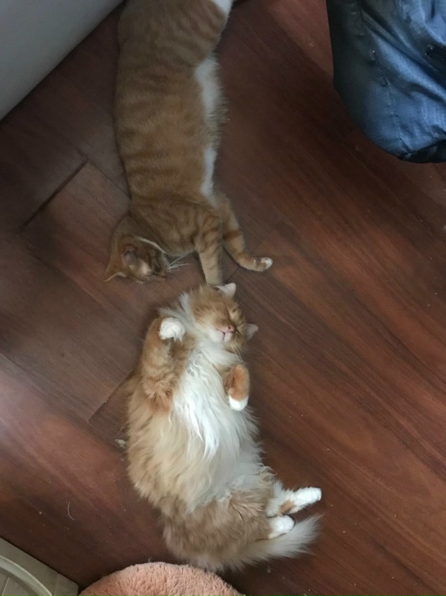 Невесомость ) Часть вторая!