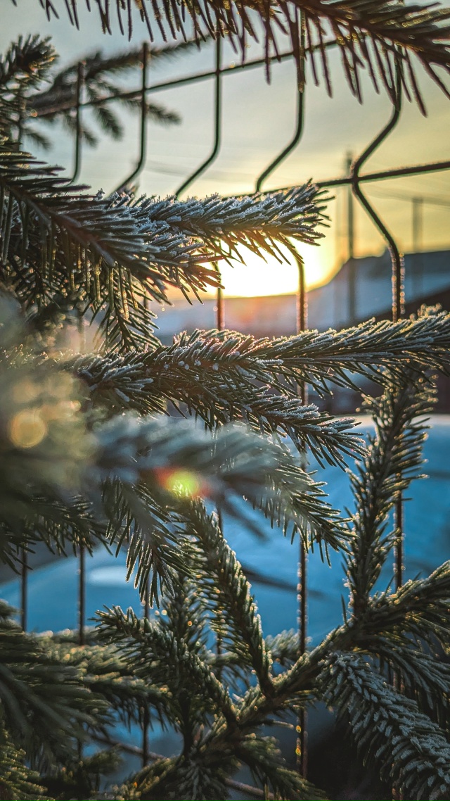 Вот теперь ноябрь ❄️🍂
Снято на мобильник Google Pixel 7 Pro