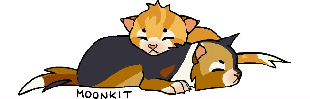 Утречко и Луночка
© Nifty-Senpai
#KV_ZZ_ART