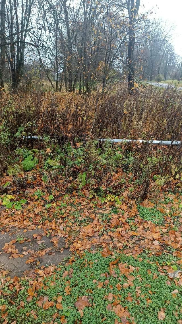 Хочу обратиться к службе, которая занимается освещени?...