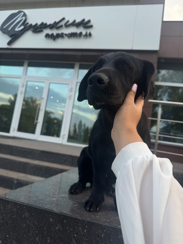 Прошу выложить пост 🫶🏽
В марте этого года эта же соба...