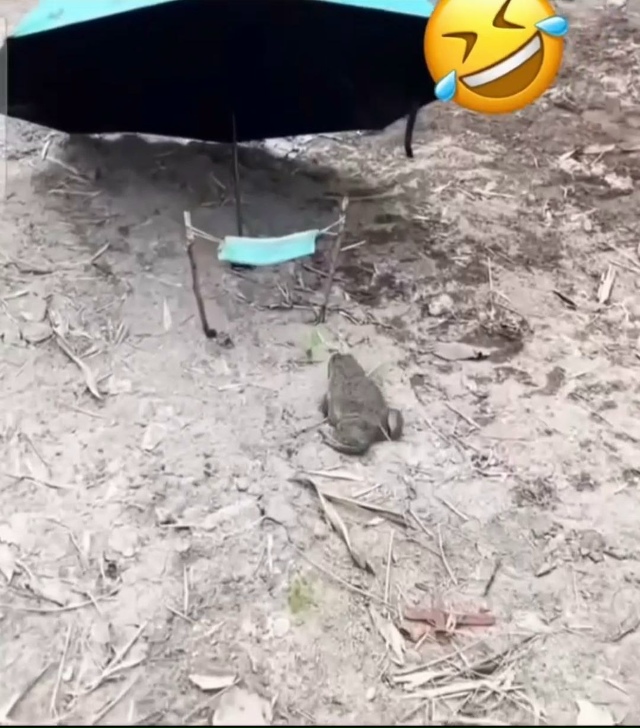 познал жизнь