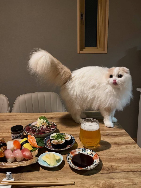 Никакова давления