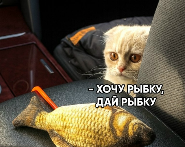 Жительница крупного города стала героиней вирусной ис...