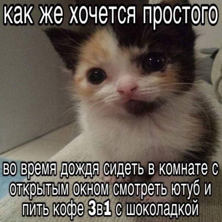 Утренняя подборочка