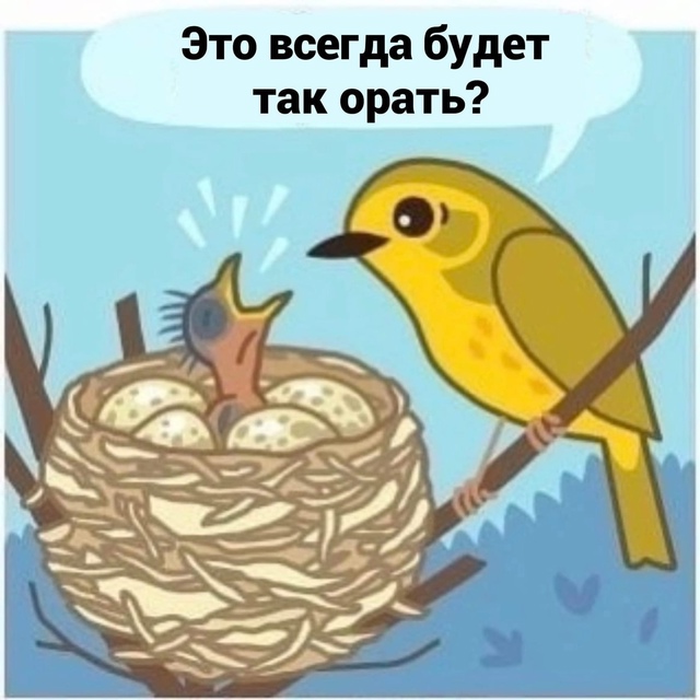Дальше легче