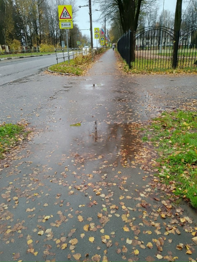 Уважаемый Мосавтодор.
Пожалуйста, очистите от листьев...
