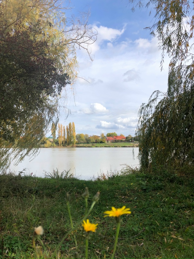 Поехали сегодня полюбоваться красивым озером. Там так ...
