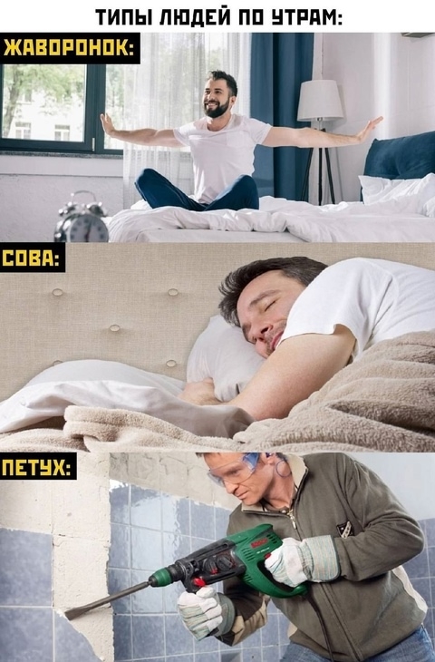 Доброе утро всем😊
Не дай бог никому такого соседа🐓