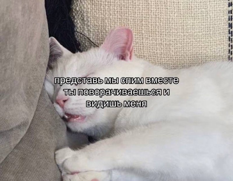 Утренняя подборочка