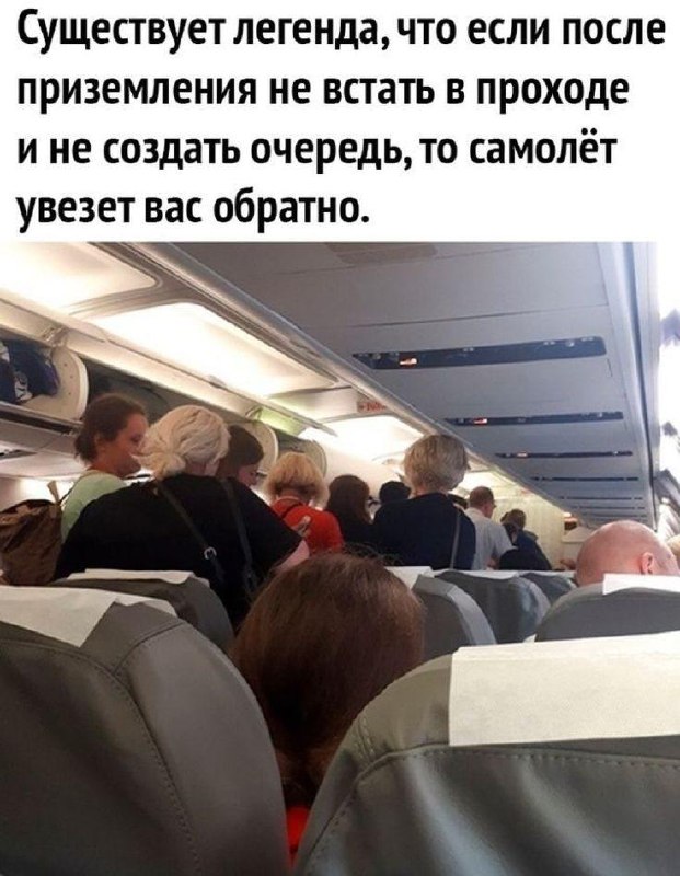 Авиакомпания Turkish Airlines будет штрафовать пассажиров, которые встают с кресел до полной останов