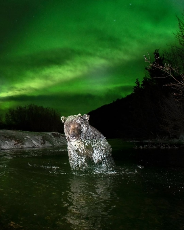После долгих лет поисков и ожидания фотограф Питер Мэз...