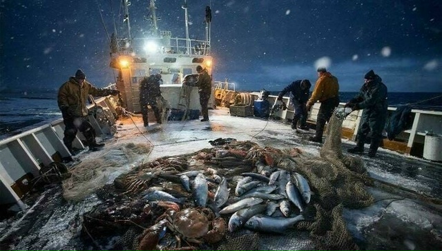 Экспорт рыбы из Мурманской области превысил 104,5 тыс. то...