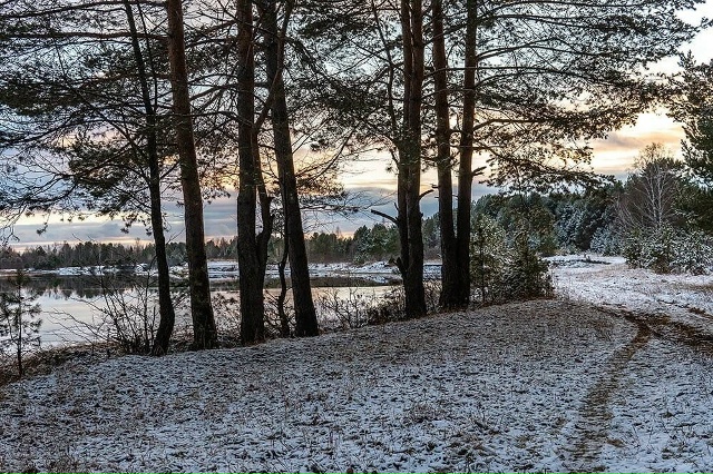 ПОЗДНЯЯ ОСЕНЬ
Уж падать нечему с деревьев.
Костёр кле?...