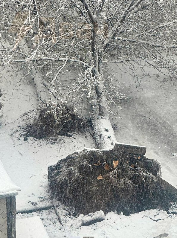 ❗️Москву и область конкретно завалило снегом прямо перед майскими праздниками — в регионе ввели «ора