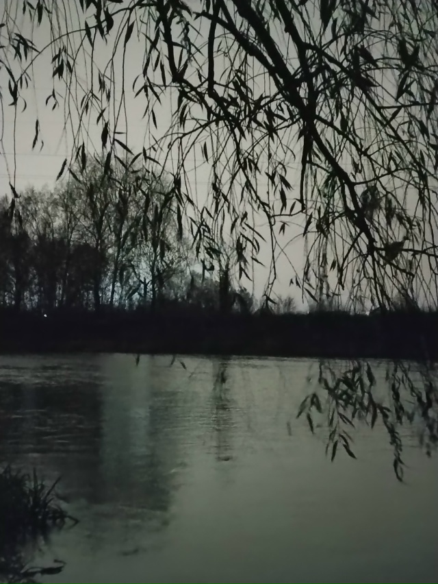 Доброй ночи 💤
📸Михаил Никонов