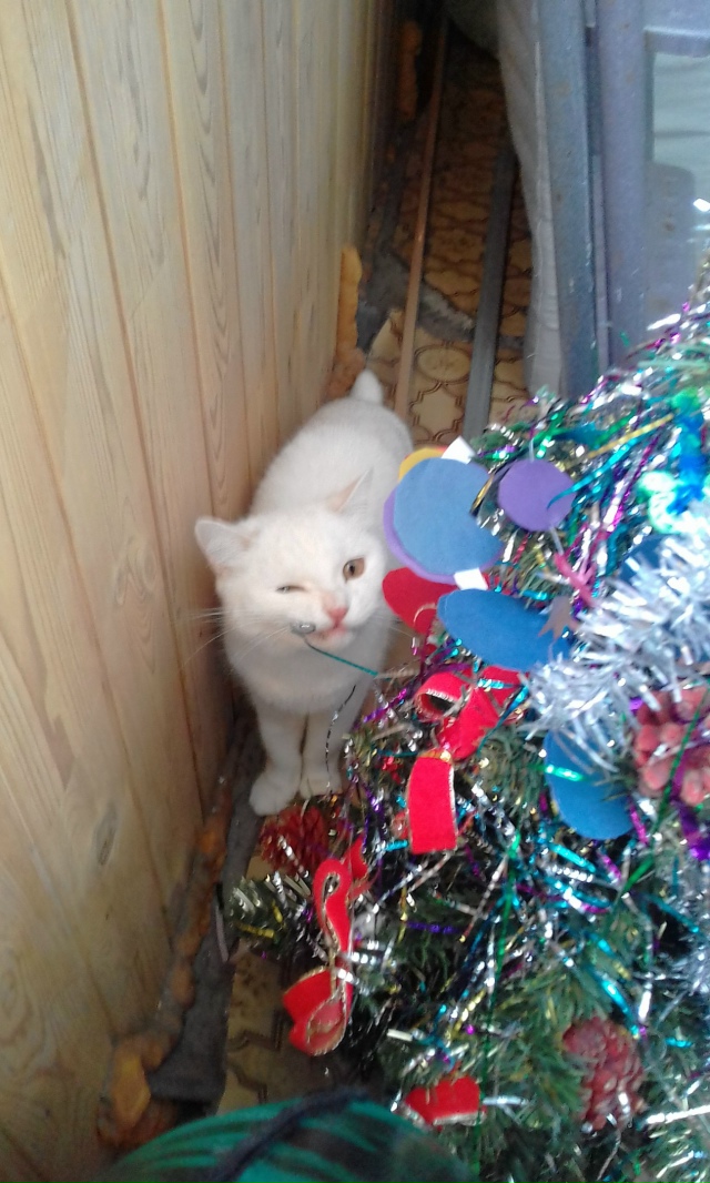 Уже скоро...