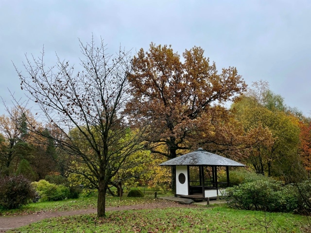 Японский сад в Ботаническом саду 🍃.
Фото: Татьяна Ти?...