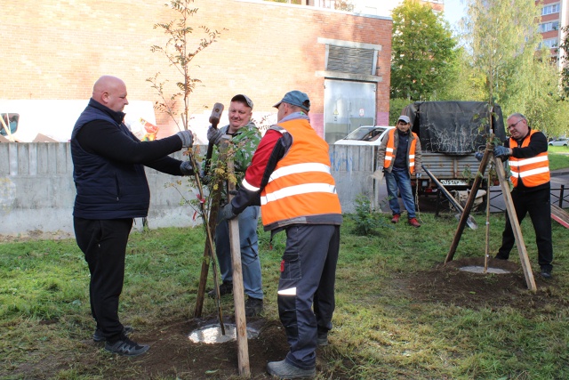 В Петергофе по заказу муниципалитета завершились комп...