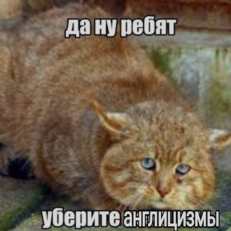 Ночная подборочка
Спать, режим