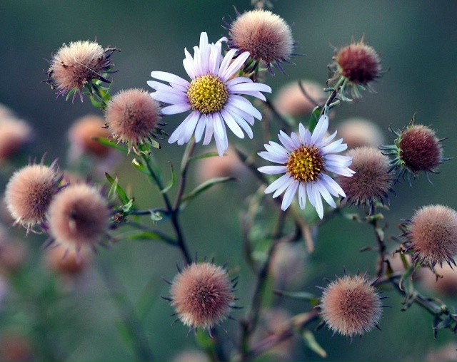 ✍️
Нам трудно говорить про старость
И на пороге мы с?...