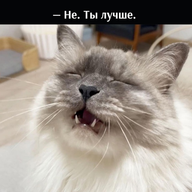 =»»