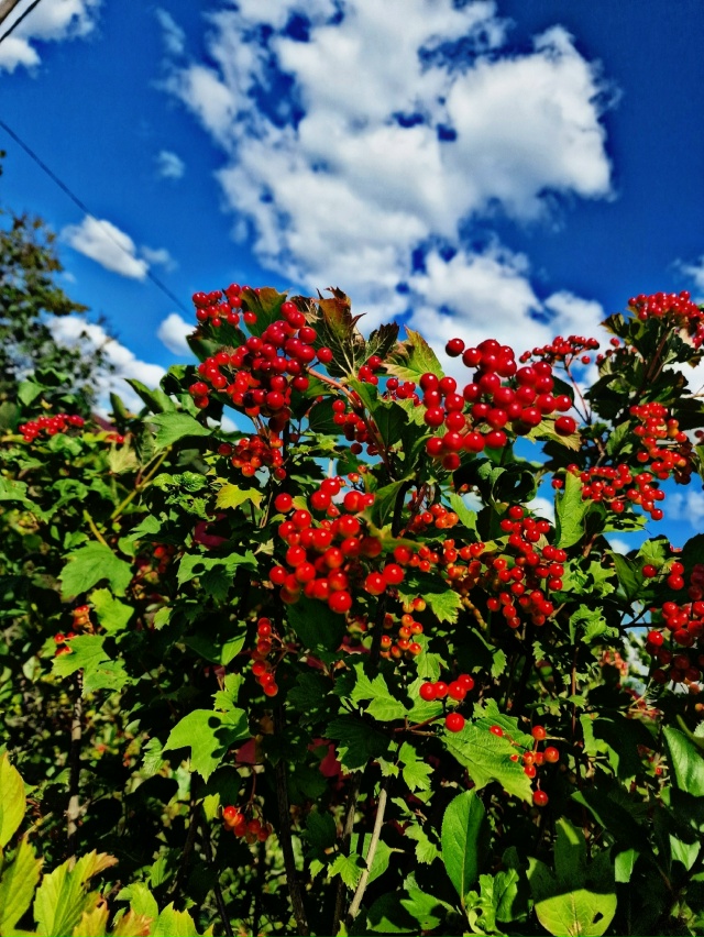 Улыбнись и подумай-какая красивая ОСЕНЬ
Сколько СВЕТА ...