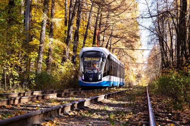 Золотая осень прощается с Нами, следующая остановка зи...