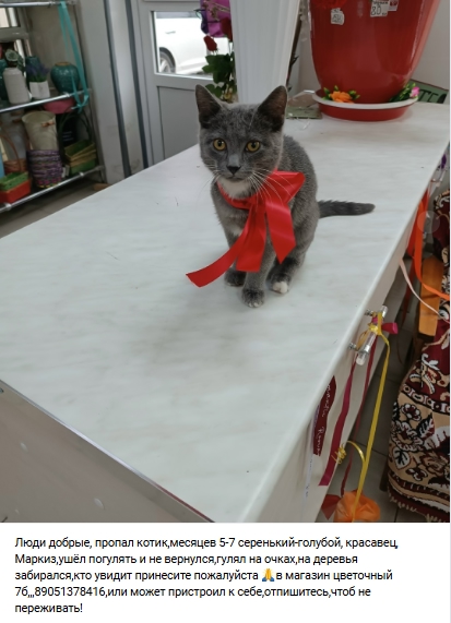 Пост добра. Распространите, пожалуйста.