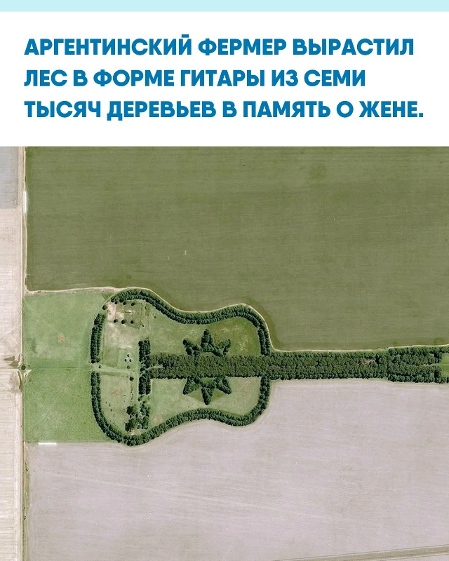 Педро Мартин Урета посадил огромную композицию в конц?...