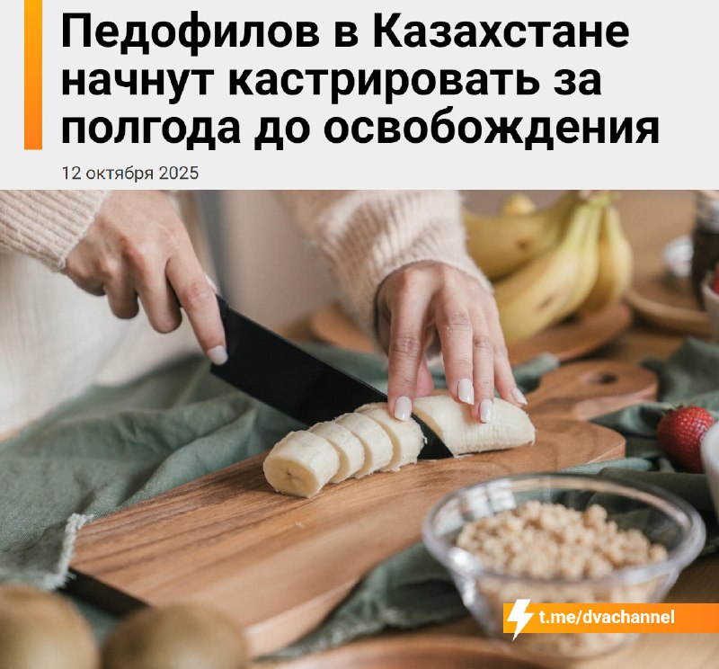 ❗️Педофилов в Казахстане начнут кастрировать за полгода до освобождения
?С 17 октября в стране ввод