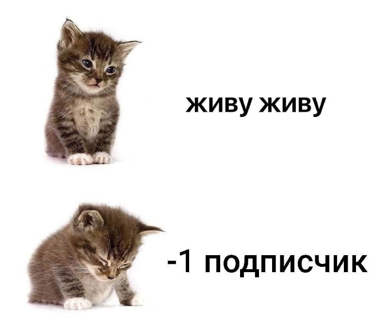 Утренняя подборочка