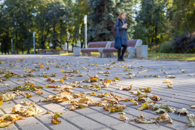 ⛅ Снегопадов и существенных похолоданий до конца октя...
