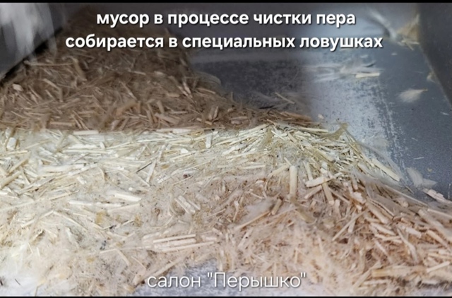 💤 Чистка подушек, перин, одеял в [club32114753|салоне 