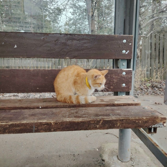 🦁Рубрика «Животные» #Животные@podslushanoperm
⠀
1) Нашлась со...