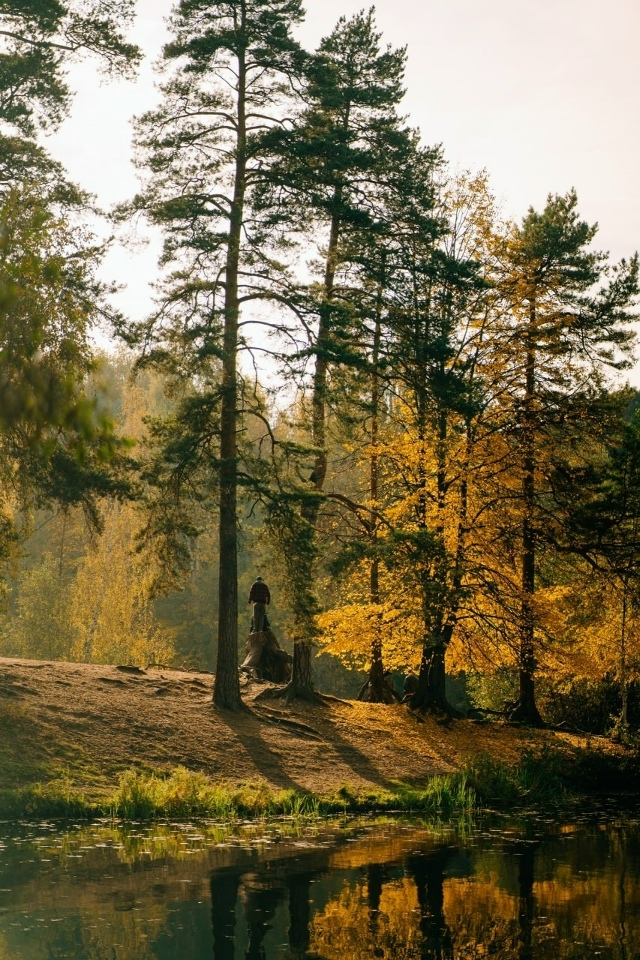 Осенние краски Серебрянoгo Бoра ❤