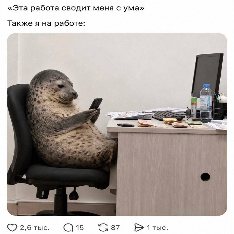 Утренняя подборочка