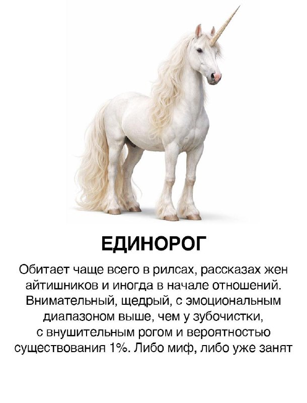 Как и обещали, парни как лошади