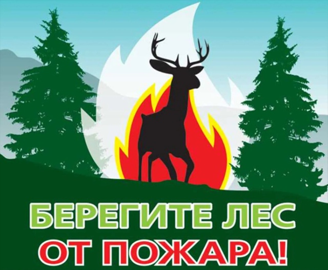 ❗В Самарской области ввели запрет на посещение лесов
...